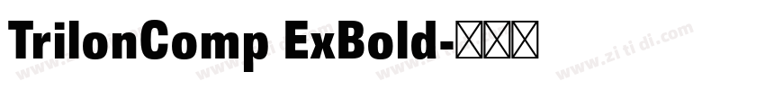 TrilonComp ExBold字体转换